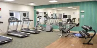 Holiday Inn Express & Suites OMAHA - 120TH AND MAPLE by IHG - Gym
