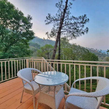 Musical Paradise