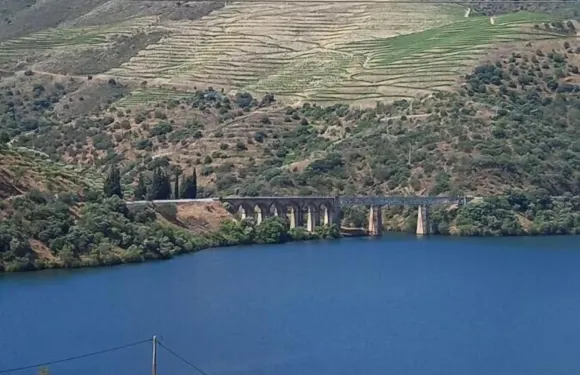 杜羅三卧室魔幻山景