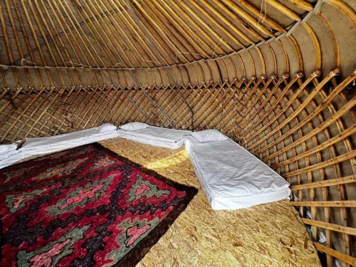Glamping Svetlyi Mys - Hostels