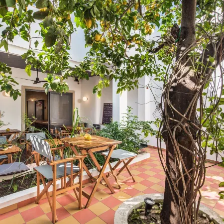 Lemon Tree Stay