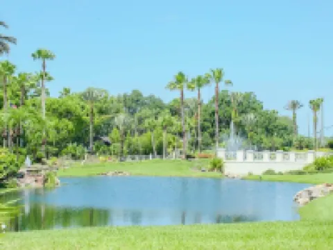 Tranquil  Saddlebrook 2br 2ba Condo with Wildlife Views Hotels in Wesley Chapel South