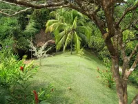 Privacy, Elegance, Security, Private Pool & Nature Reserve