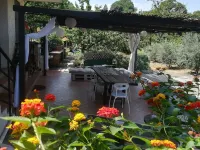 The land of cherry trees between Mount Etna and the sea of Taormina Hotéis em Piedimonte Etneo