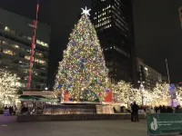 Cozy 2 bedroom home in North Corktown with a yoga zen space