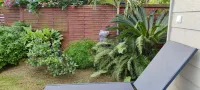 CHARMING BUNGALOW in Punaauia, with a dream view of Moorea Отели рядом с достопримечательностью «Музей Таити и островов»