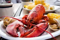 Luxury Romantic 'Studio by the Beach' Free WiFi, Central Air and Heat Hotels in Dennis Port