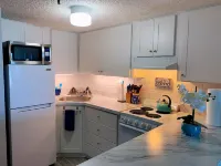 Oceanfront condo with patio, pool/pet friendly