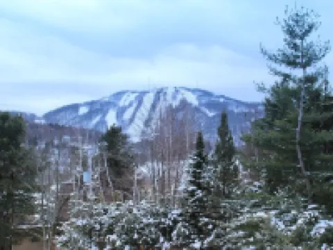 Luxurious 3 bedroom condo. 2 minutes from beautiful Mont Bromont.  CITQ#248275 Hotels in Bromont