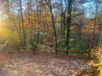 Charming 2-bedroom cottage in Franklin, NC in the Great Smoky Mountains