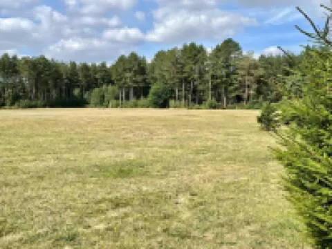 Large family cottage nestled in Sherwood Forest