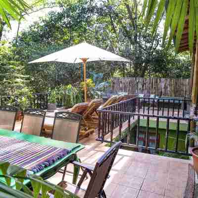 Roof Top Deck with Huge Views, 3 Pools, Chef Included, Game Room, Monkeys Hotel Exterior