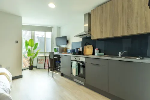 Curraheen Point Cork - Easy Access to City Centre - Apartments