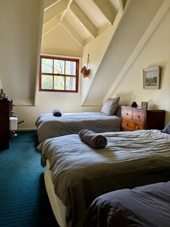 Cosy Cabin in Ancient Rainforest Barrington Tops Отели в г. Дангог