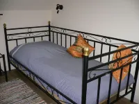 Holiday house with large garden, terrace, near the beach, pets welcome Hotels in Westerdeichstrich