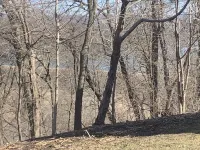 Adorable Settlement home with seasonal lake and waterfall views