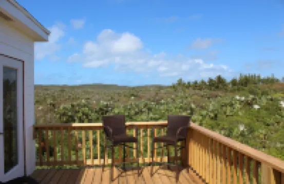 Trade Winds - Oceanview, Private Pool, Short Walk To Pink Sand Beach, Central.