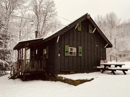 *New* Classic Cozy Catskill Mountain Cabin ~ Wood Stove+Soaking Tub