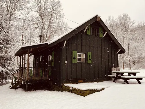 *New* Classic Cozy Catskill Mountain Cabin ~ Wood Stove+Soaking Tub Hotels in Delaware County