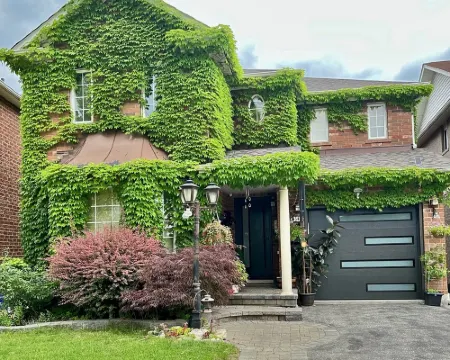 Private Cozy 1 Bedroom Apartment!!! Dedicated Wok Desk and Free Parking. Hotels in Ajax