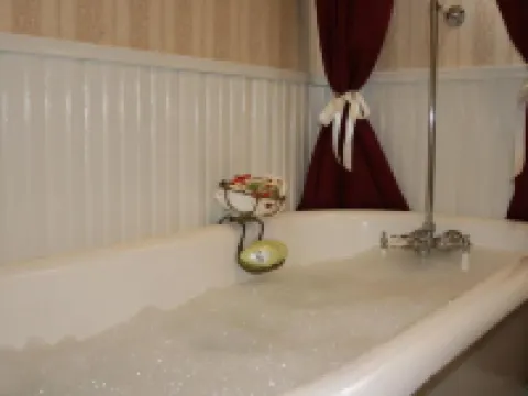 朱利安淘金熱酒店 朱利安酒店