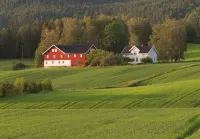 Farmhouse from the turn of the century with wood fired pizza oven Hotels in Lunde