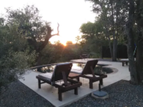 Leadwood Tree Safari Lodge