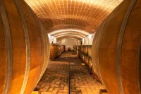 Agriturismo & Cantina Tenuta Casteani Hotel di Roccatederighi