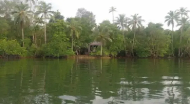 Kajoro Sunset Lodge Hotels in New Georgia Group