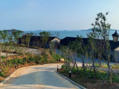 Muan Paradise Pension 務安のホテル