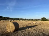 Stunning 2 Bed Cotswold Cottage Winchcombe