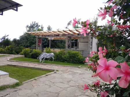 Perfectus Gardens Hotel Отели в г. Руиру