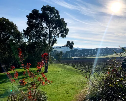 Halarah Hotels in Flinders