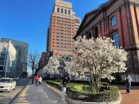 Spacious Sunlit 3Br • Center of Downtown Boston • Family Favorite - Apartemen