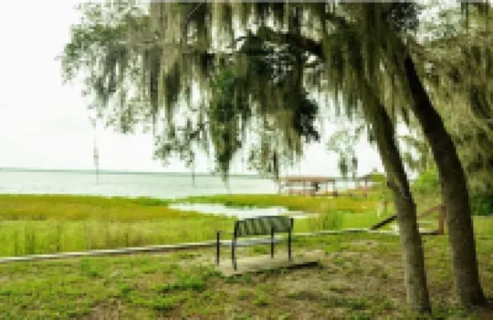 Charming Villa near Disney, pool, 4 beds, sleeps 5