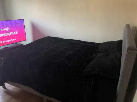 Spacious clean full apartment 20 min from downtown chicago