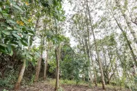 Azima Wellness Retreat Center - Villa Home