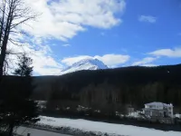 THE SEWARD APARTMENT