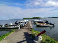 WELCOME TO NITA'S HOME