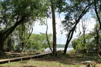 The Birds Nest, birds, close to area surfing,