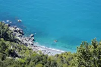 Plumbago Blue vicinity Montemarcello Sarzana Lerici Portovenere 5Terre Versilia