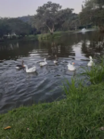 87 Eden Wilds Gataway Hotels in Port Edward