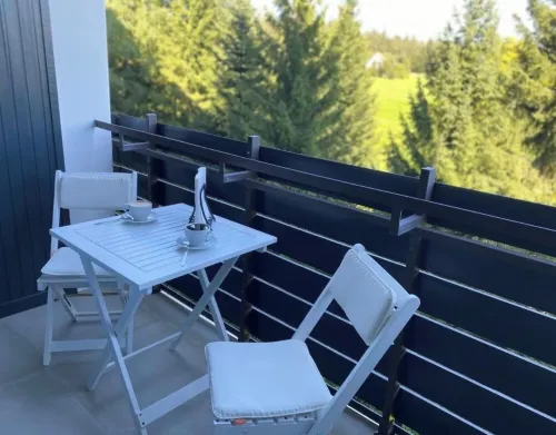 Black Forest apartment Kniebis Hotels in Kniebis