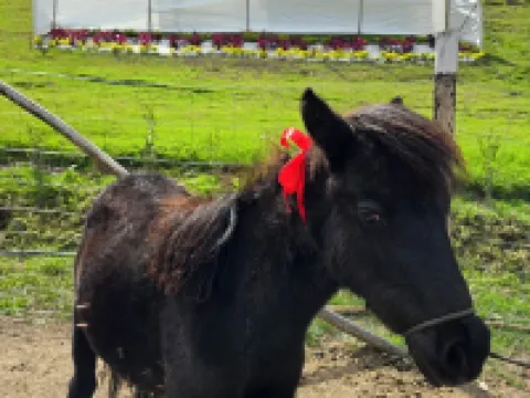 NaturaLove Glamping Mongui Hoteles en Monguí