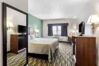 Quality Inn - Pet friendly