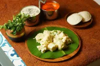 زينسي ريزورت