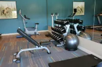 Holiday Inn Express & Suites HENDERSONVILLE SE - FLAT ROCK by IHG - Gym
