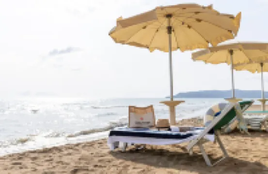 蓋塔維拉村海鷗