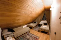 Ozon Gudauri Hotels in 