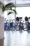 Radisson Blu Hotel Amsterdam Airport - palestra